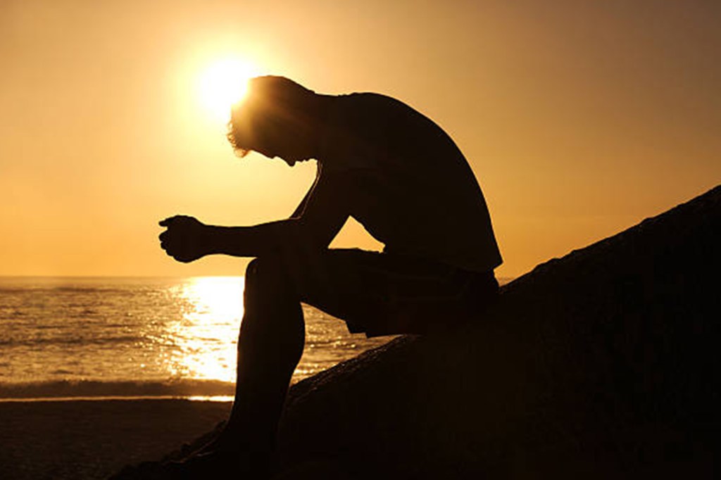 DE LA PINEAL AL CORAZON,&nbsp;COMPASION