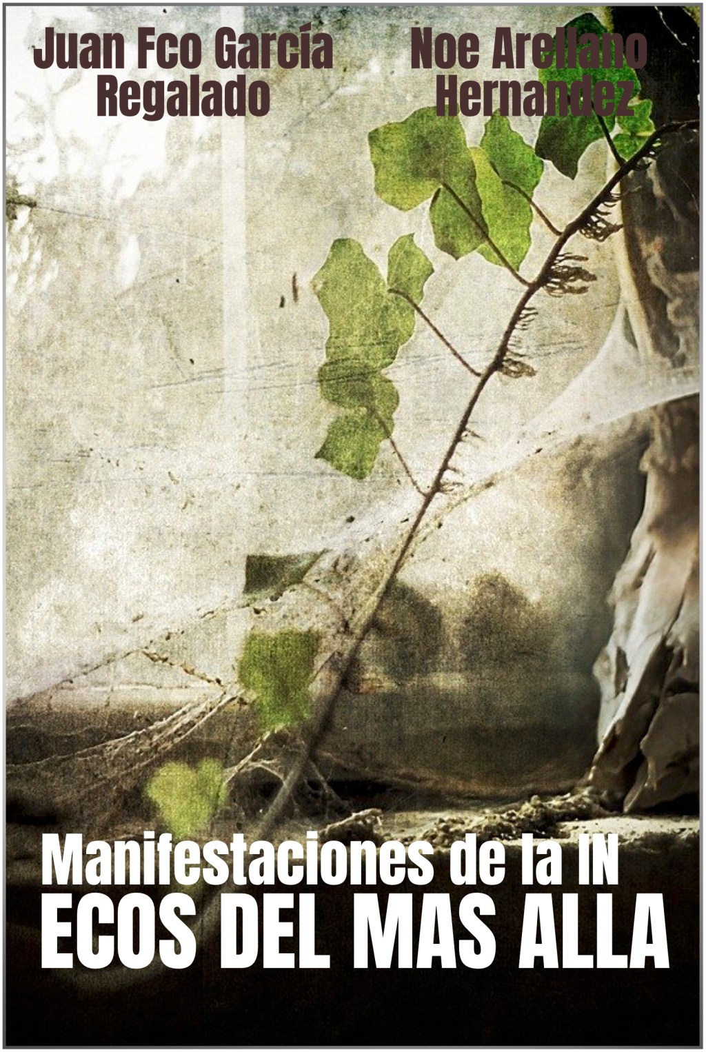 ECOS DEL MAS&nbsp;ALLA