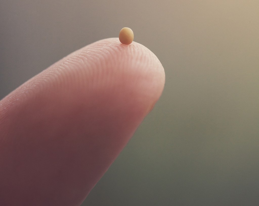 ¿Qué es la&nbsp;Fé?